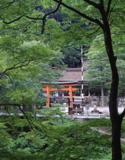 丹生川上神社中社.jpg
