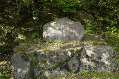 P1040809-Edit.jpg