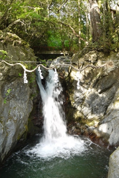 P1040832-Edit.jpg