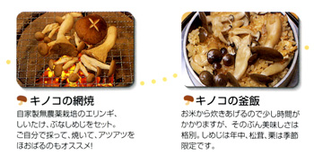 kinoko4.jpg