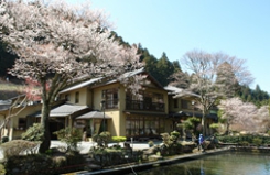 DSC05887.jpg
