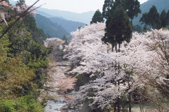 tenkouen3.jpg