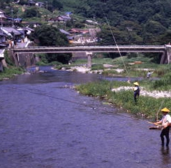 鮎釣り1.jpg