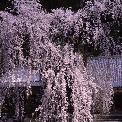 宝蔵寺２.jpg