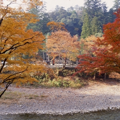 nyuukawakami.jpg