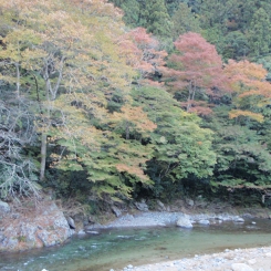 PB020122.JPG