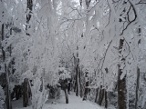 DSC01167.JPG