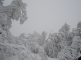 DSC01176.JPG