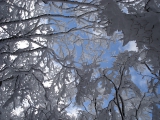 DSC01168.JPG