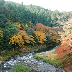 DSC03326.JPG
