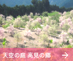 天空の庭高見の郷