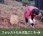 フォレストヒルズ花ごころ
